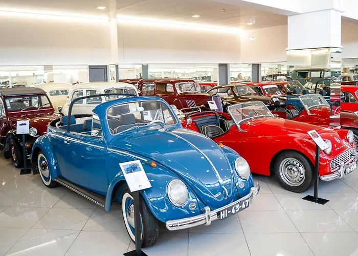 Bed & Breakfast Elegancia & Carros