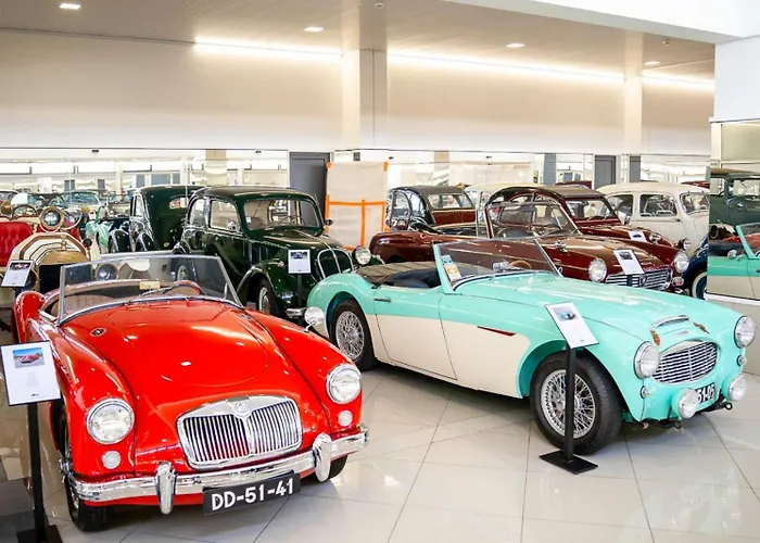 Elegancia & Carros Penamaior