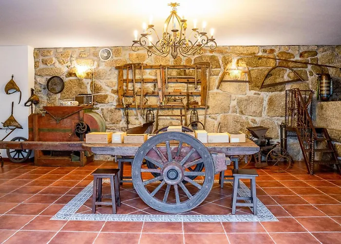 Elegancia & Carros Penamaior